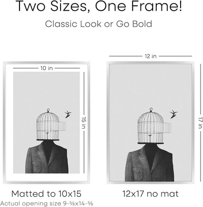 Homeforia 12x17 Picture Frame Silver, High End Metal 12x17 Frames with Mat 10x15 for Photo, 12 x 17