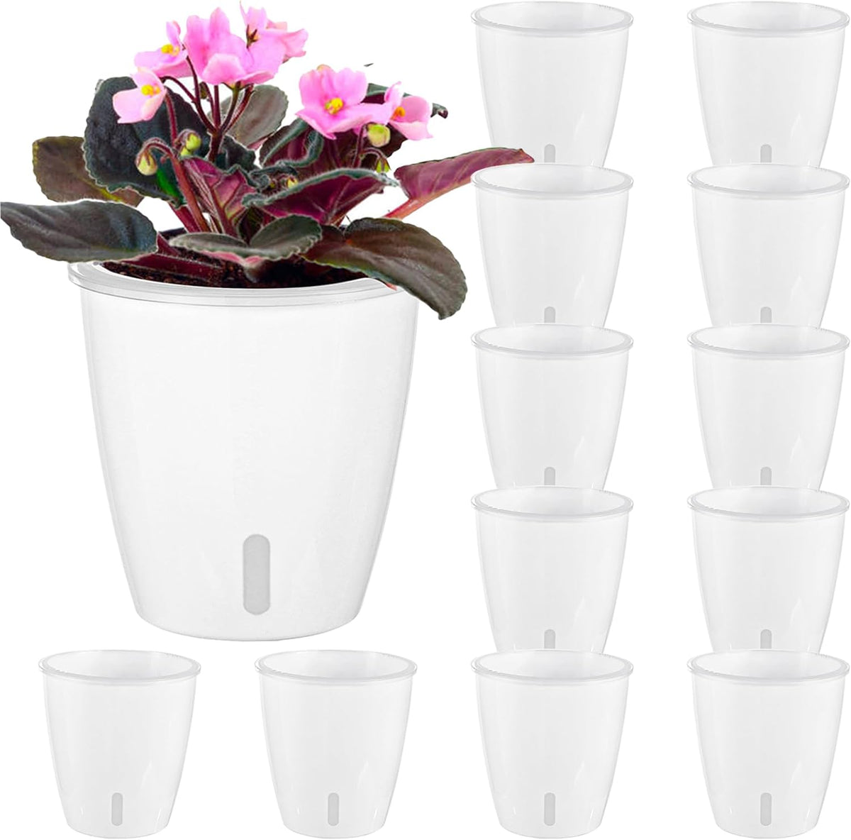 Self-Watering Pots for Indoor Plants, 12-Pack 5'' Self Watering Planter with Drainage Holes, Small