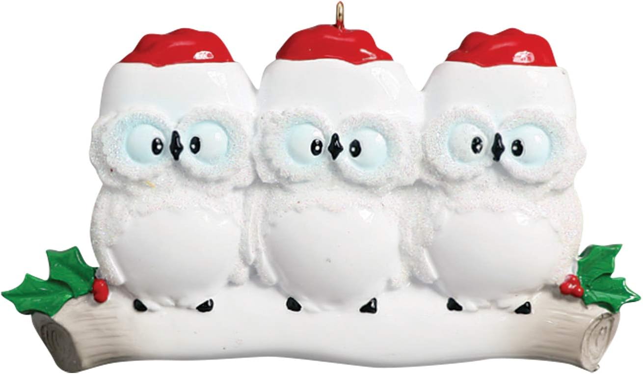 3D Owl Family of 3 Christmas Ornament 2025 Personalized Family Christmas Ornaments 2025 | White
