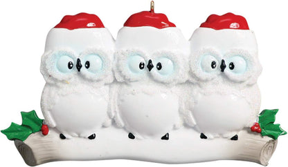 3D Owl Family of 3 Christmas Ornament 2025 Personalized Family Christmas Ornaments 2025 | White