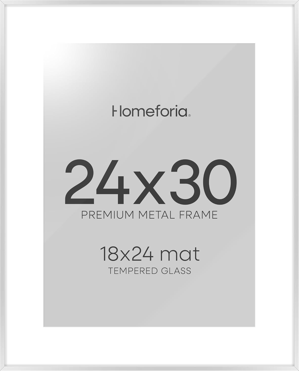 Homeforia Poster Silver Frame 24x30, High End Metal 24 x 30 Large Picture Frames with Mat 18 by 24