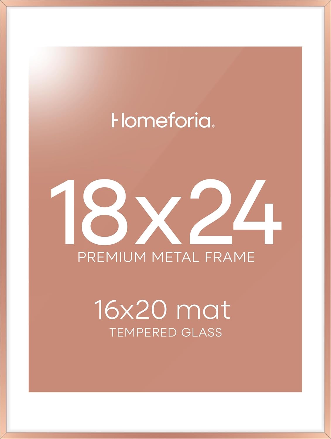 Homeforia 18x24 Frame Rose Gold, High End Metal 18x24 Poster Frames with Mat 16x20 inch Photo, 18 x