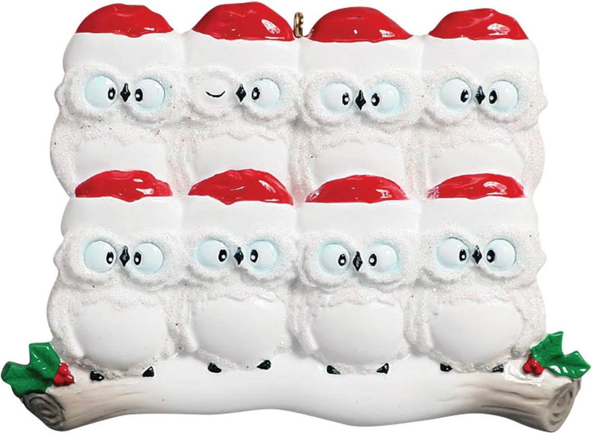 3D Owl Family of 8 Christmas Ornament 2025 Personalized Family Christmas Ornaments 2025 | White