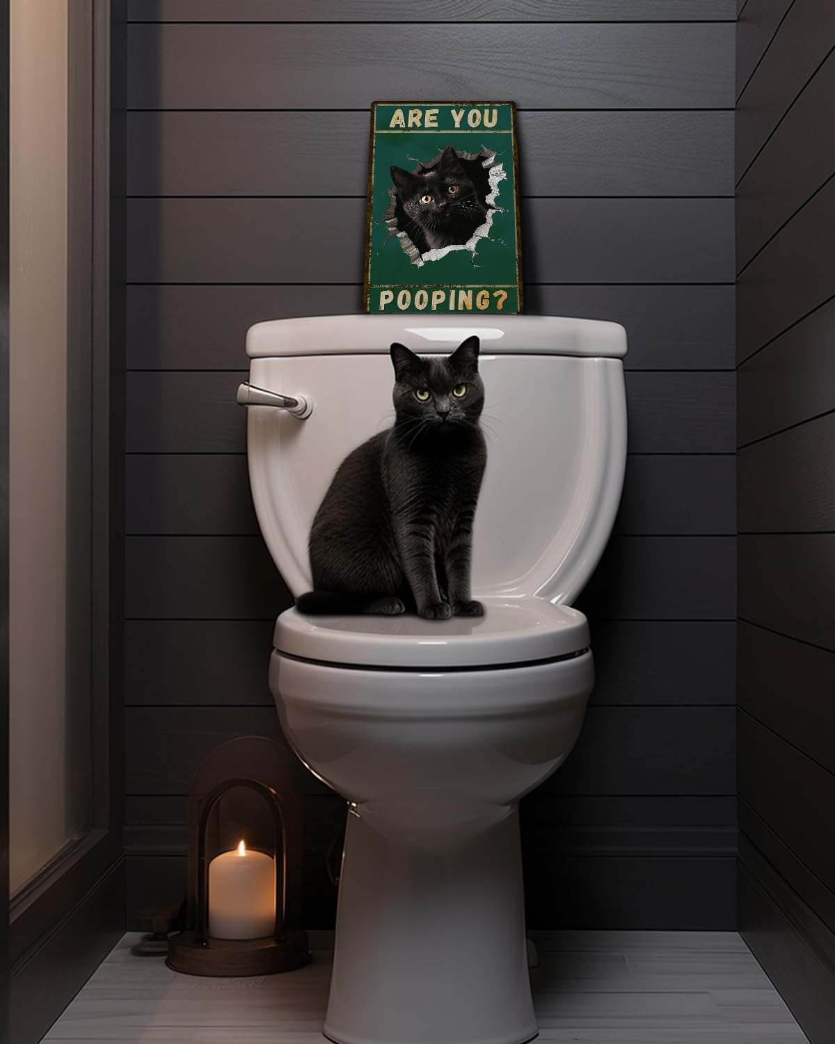 ALKB Are You Pooping Signs Funny Black Cat Sign for Bathroom Wall Decor, Vintage Cat Gift 8 x 12