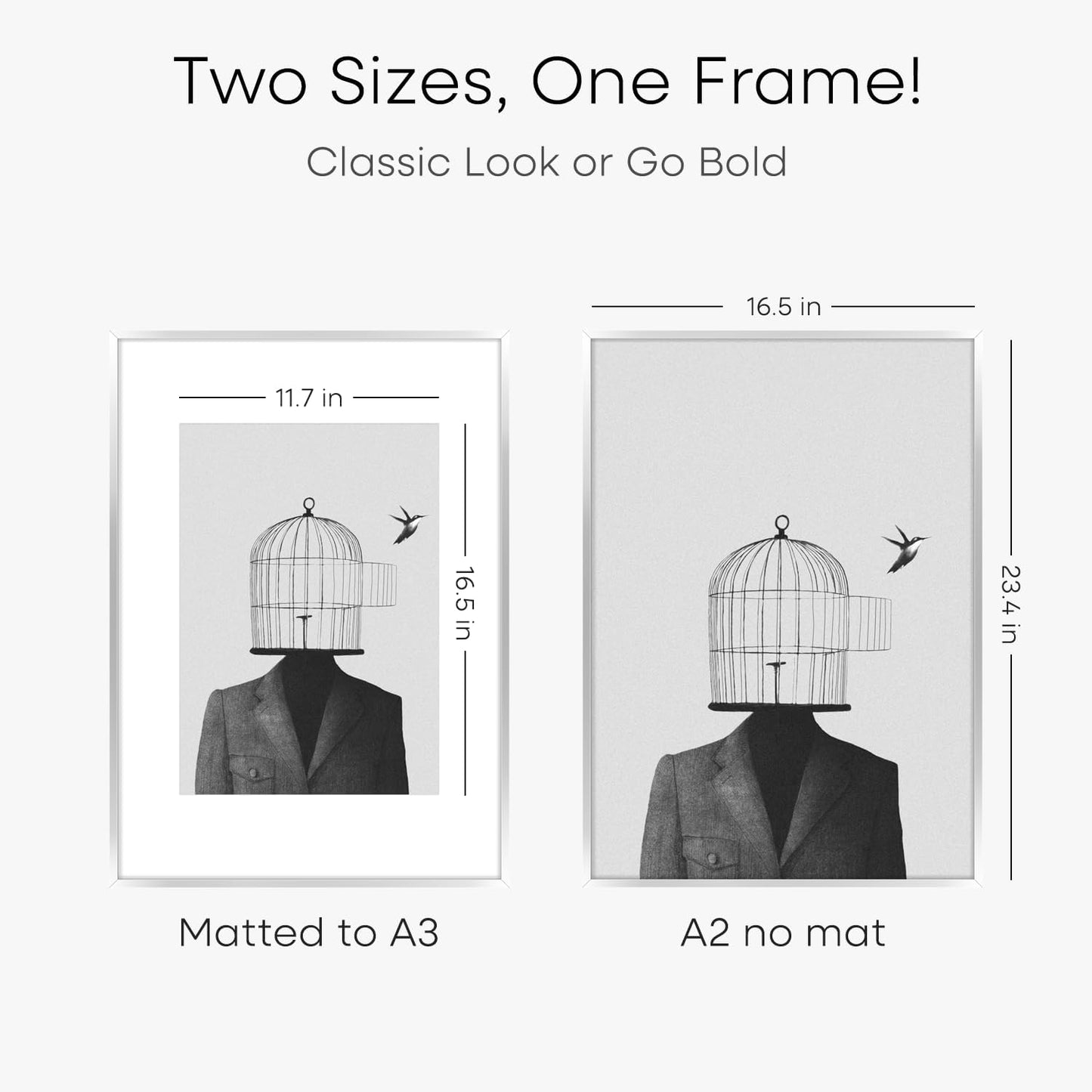 Homeforia A2 Poster Frame Silver, High End Metal A2 Picture Frames Silver with Mat A3 Print
