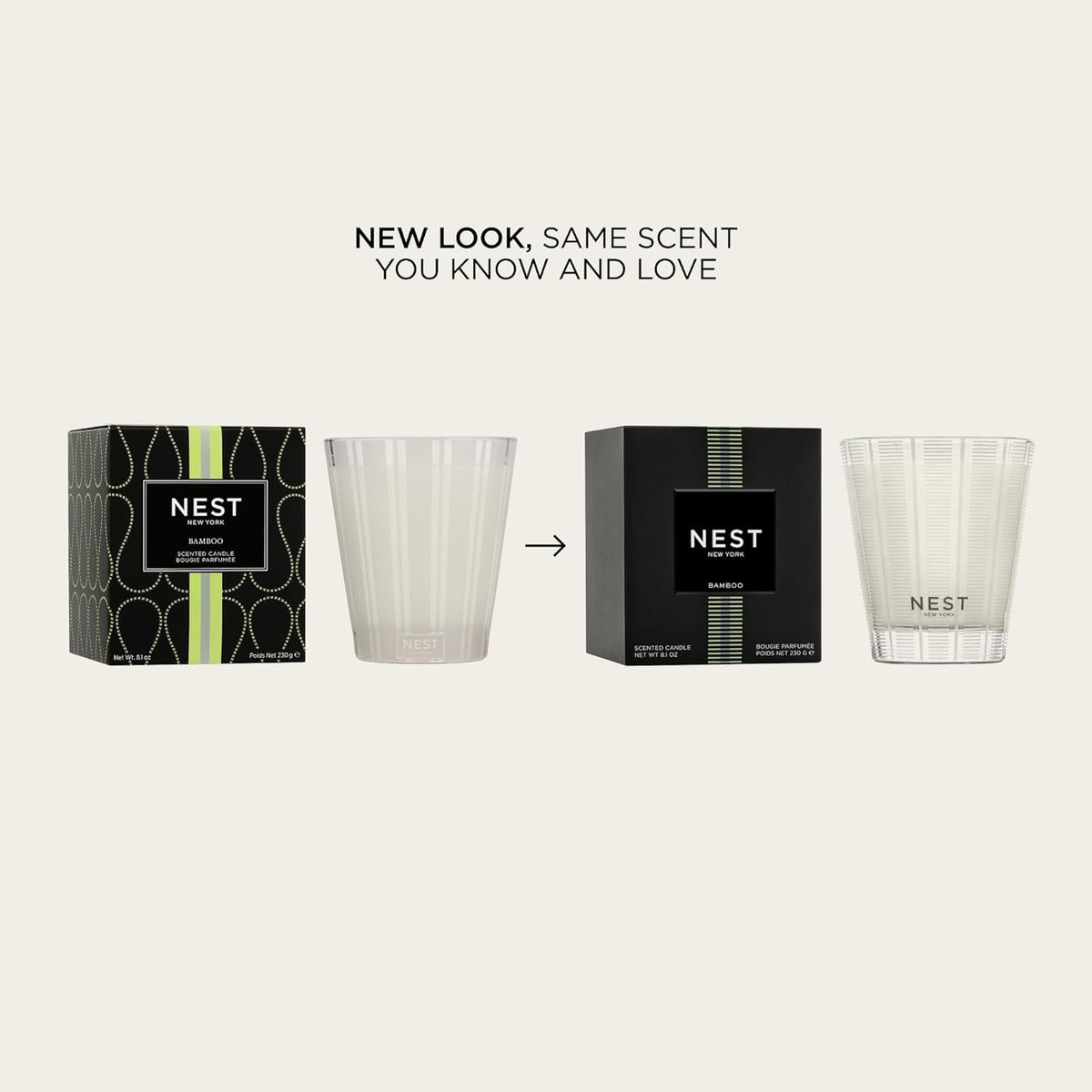NEST New York Scented Classic Candle, Bamboo - 8.1 oz - Up to 60-Hour Burn Time - Reusable Glass