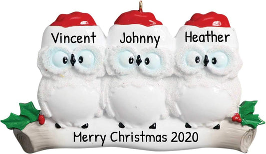 3D Owl Family of 3 Christmas Ornament 2025 Personalized Family Christmas Ornaments 2025 | White
