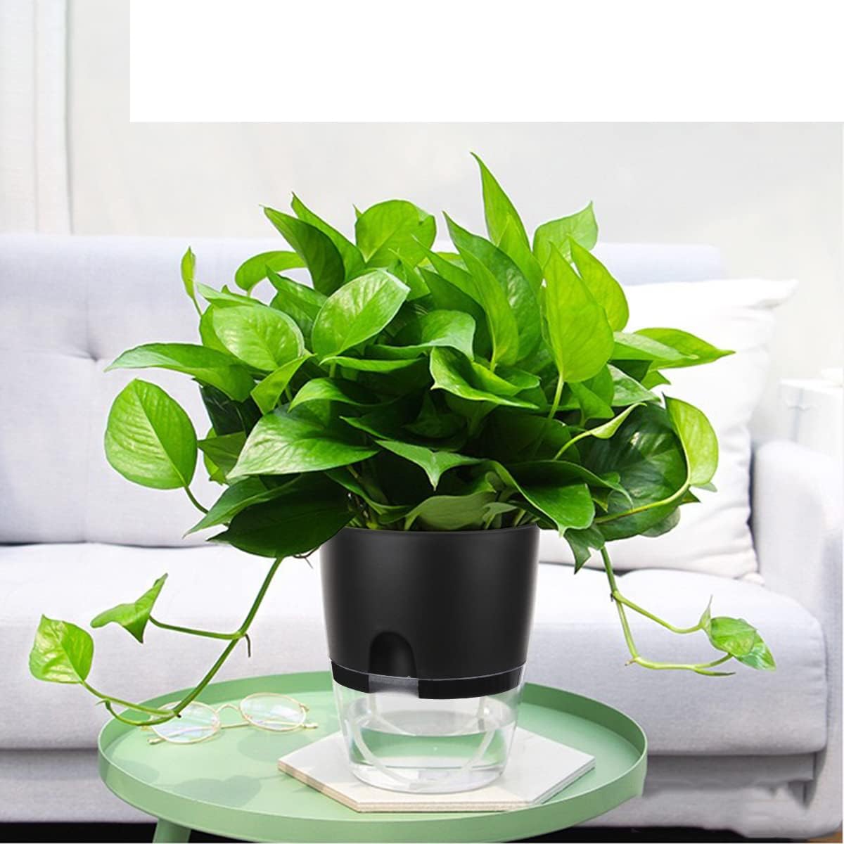 Vanavazon 6 Inch Self Watering Planter Pots for Indoor Plants, 3 Pack African Violet Pots with Wick