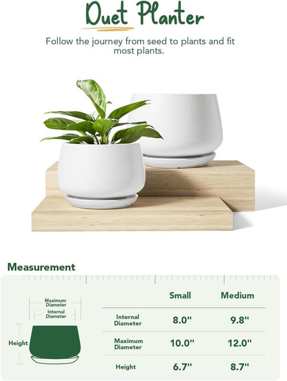 LE TAUCI Ceramic Plant Pots, Set of 2, 10 + 12 Inch Plant Pot, Elegant Planters for Indoor Plants