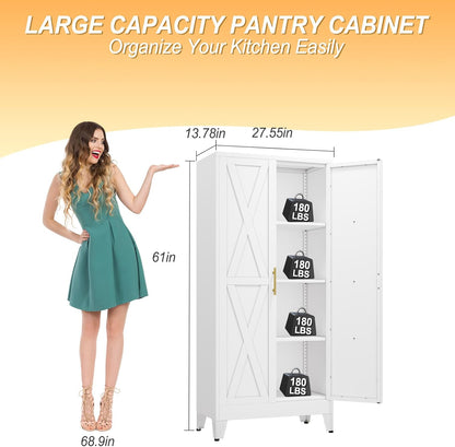 61" H Metal Kitchen Pantry Storage Cabinet, Freestanding Cupboard with 2 Doors and 3 Adjustable