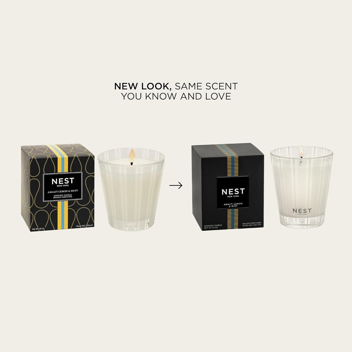 NEST New York Scented Classic Candle, Amalfi Lemon & Mint - 8.1 oz - Up to 60-Hour Burn Time