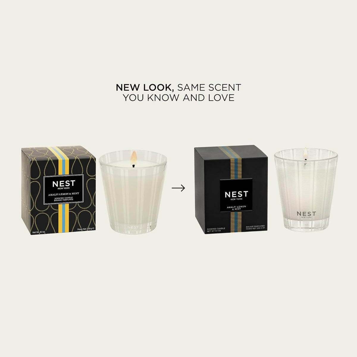 NEST New York Scented Classic Candle, Amalfi Lemon & Mint - 8.1 oz - Up to 60-Hour Burn Time