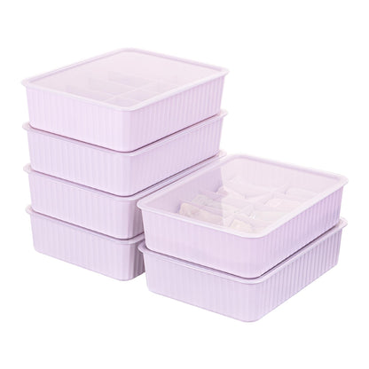 Cetomo 10 Cells Plastic Underwear Sock Drawer Organizer with Lid, Lidded Storage Box with Dividers