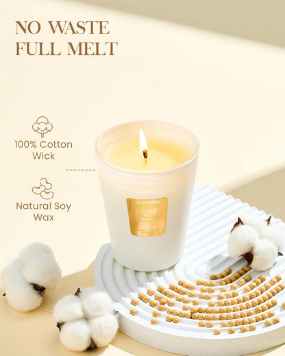 M&SENSE Creamy Vanilla Pie Scented Natural Soy Wax Candle, 14.1oz 60 Hours Long Lasting Slow