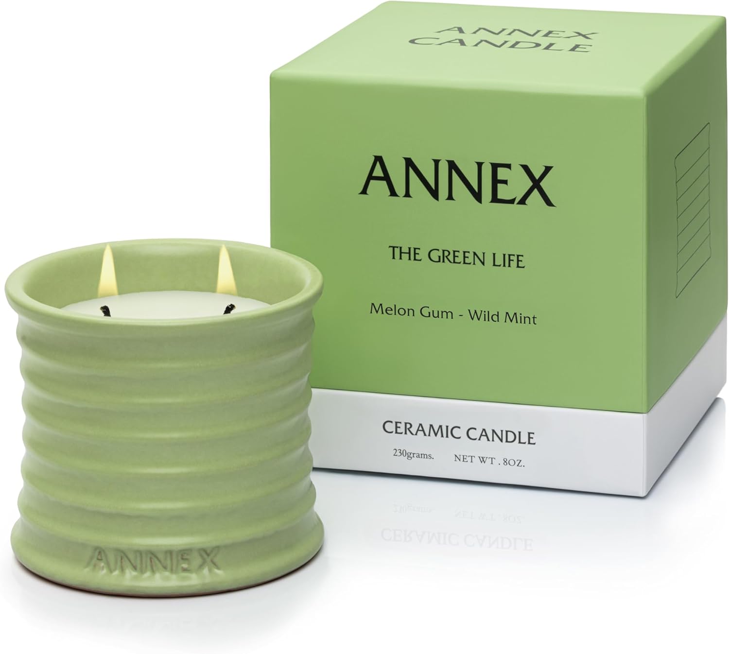 Scented Luxury Candles Outdoor Mosquito Bug Repellent Ceramic Jars, Soy Wax | The Green Life, Large