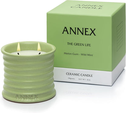 Scented Luxury Candles Outdoor Mosquito Bug Repellent Ceramic Jars, Soy Wax | The Green Life, Large
