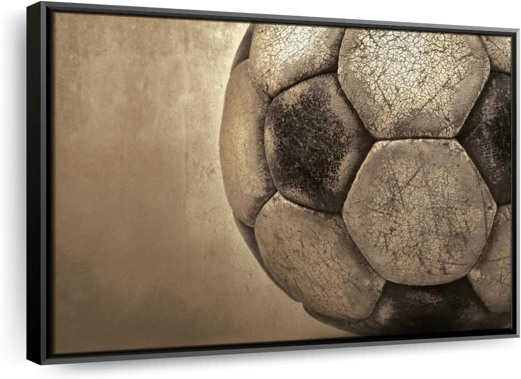 Elephant Stock Worn Soccer Ball Wall Art - Horizontal Framed Canvas - 1-Piece Living Room Wall