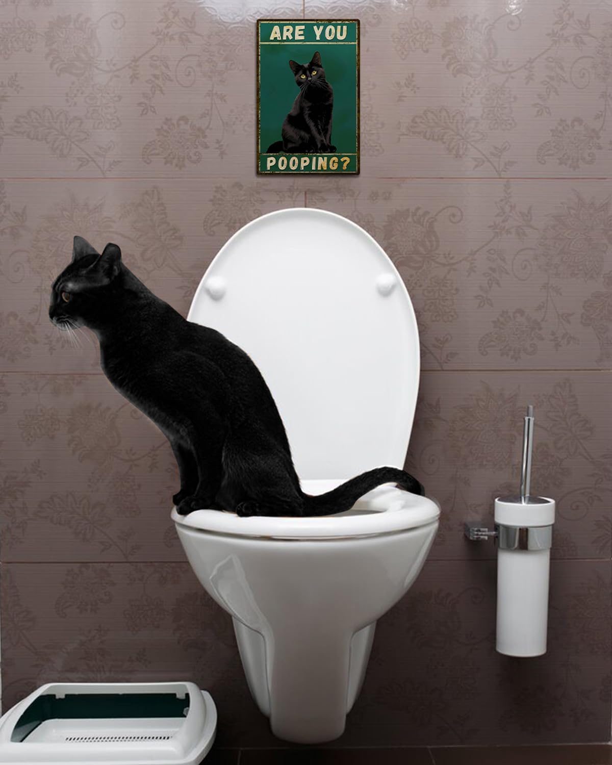 ALKB Funny Black Cat Sign Are You Pooping Metal Signs Black Cat Gift Vintage Bathroom Wall Decor 8