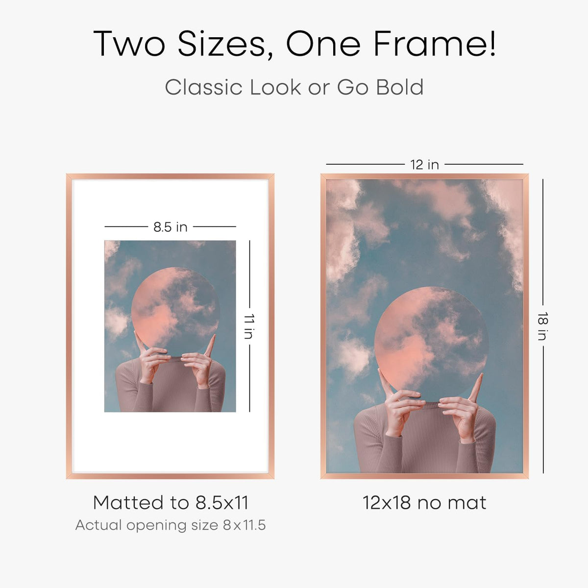Homeforia 12x18 Picture Frame Rose Gold, High End Metal 12x18 Poster Frames with Mat 8.5x11 in