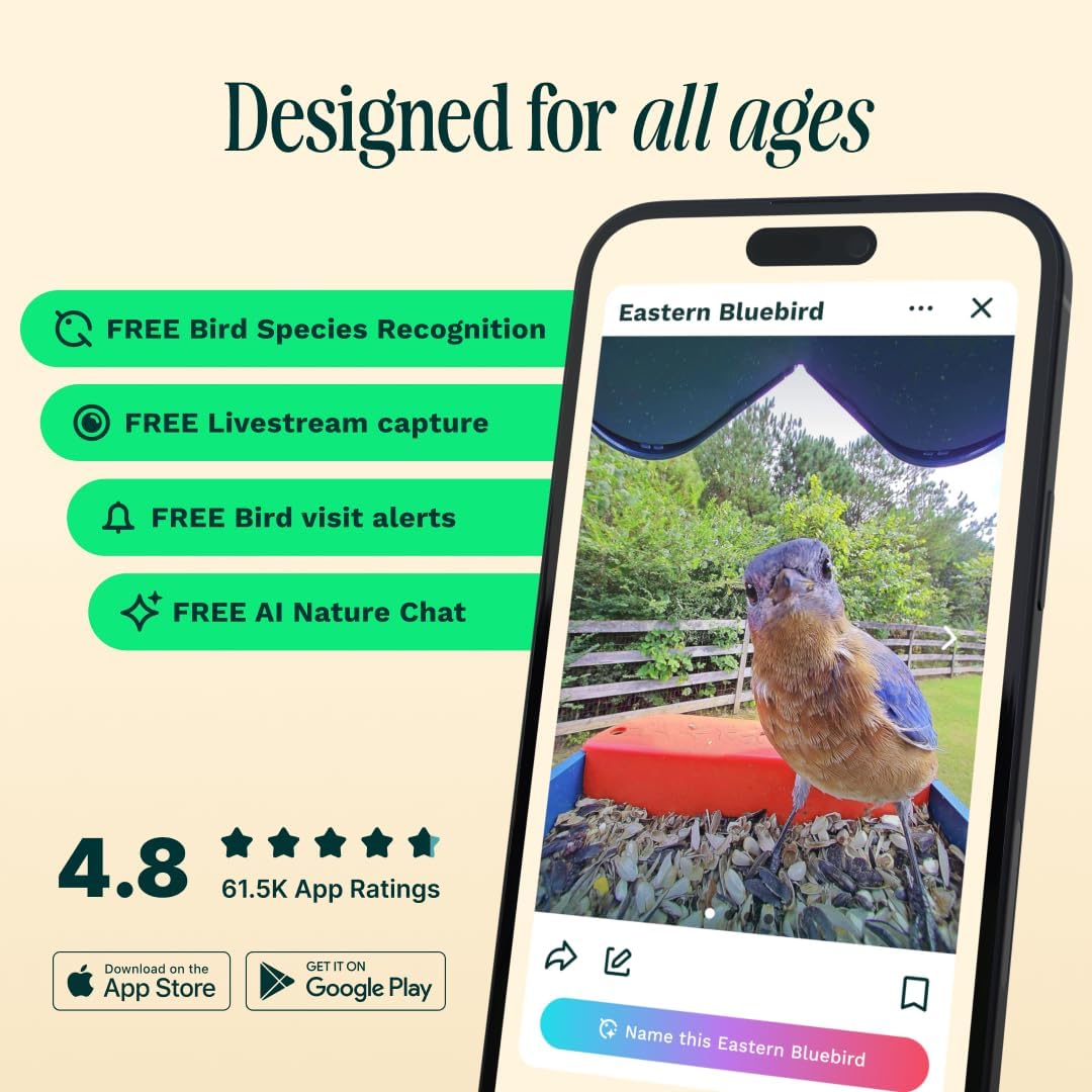Birdbuddy PRO Solar Smart Bird Feeder with Camera - AI Bird Species Identification, 5MP Photos, 2K