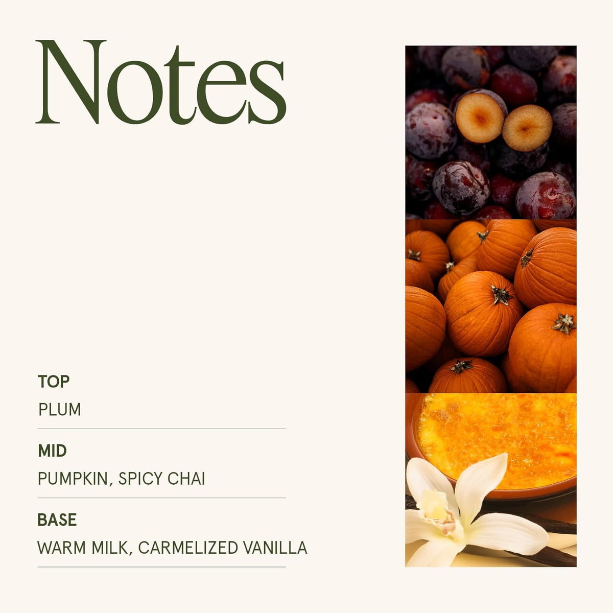 LA JOLIE MUSE Pumpkin Candle, Fall Candles for Home Scented, 19 oz Large Wood Wicked Candles