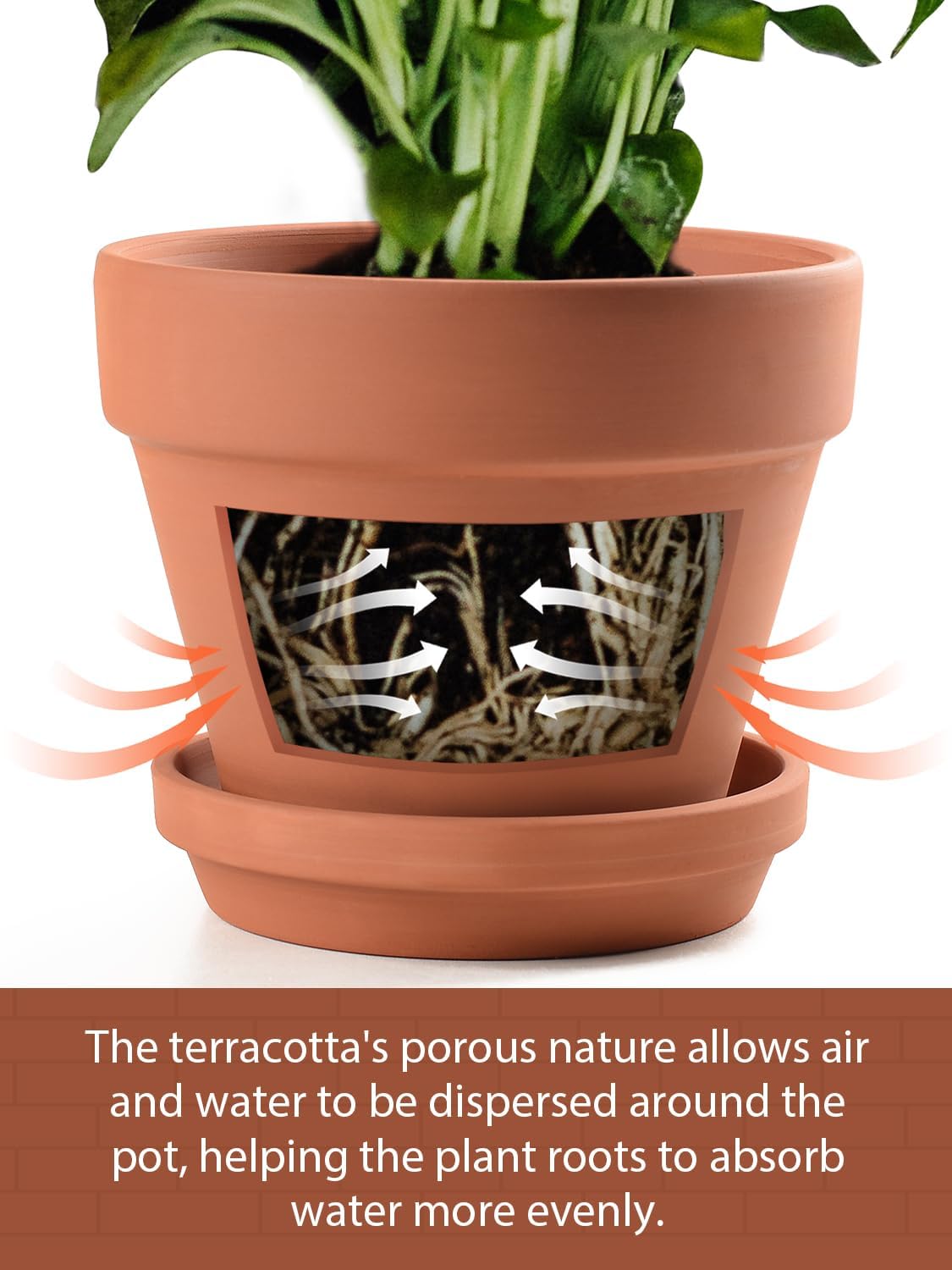 INGOFIN Terracotta Pots Set with Saucer - 5/6/7 inch Ceramic Clay Planters with Drainage Hole