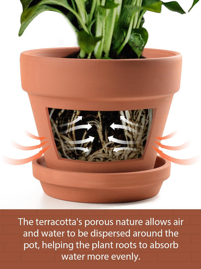 INGOFIN Terracotta Pots Set with Saucer - 5/6/7 inch Ceramic Clay Planters with Drainage Hole