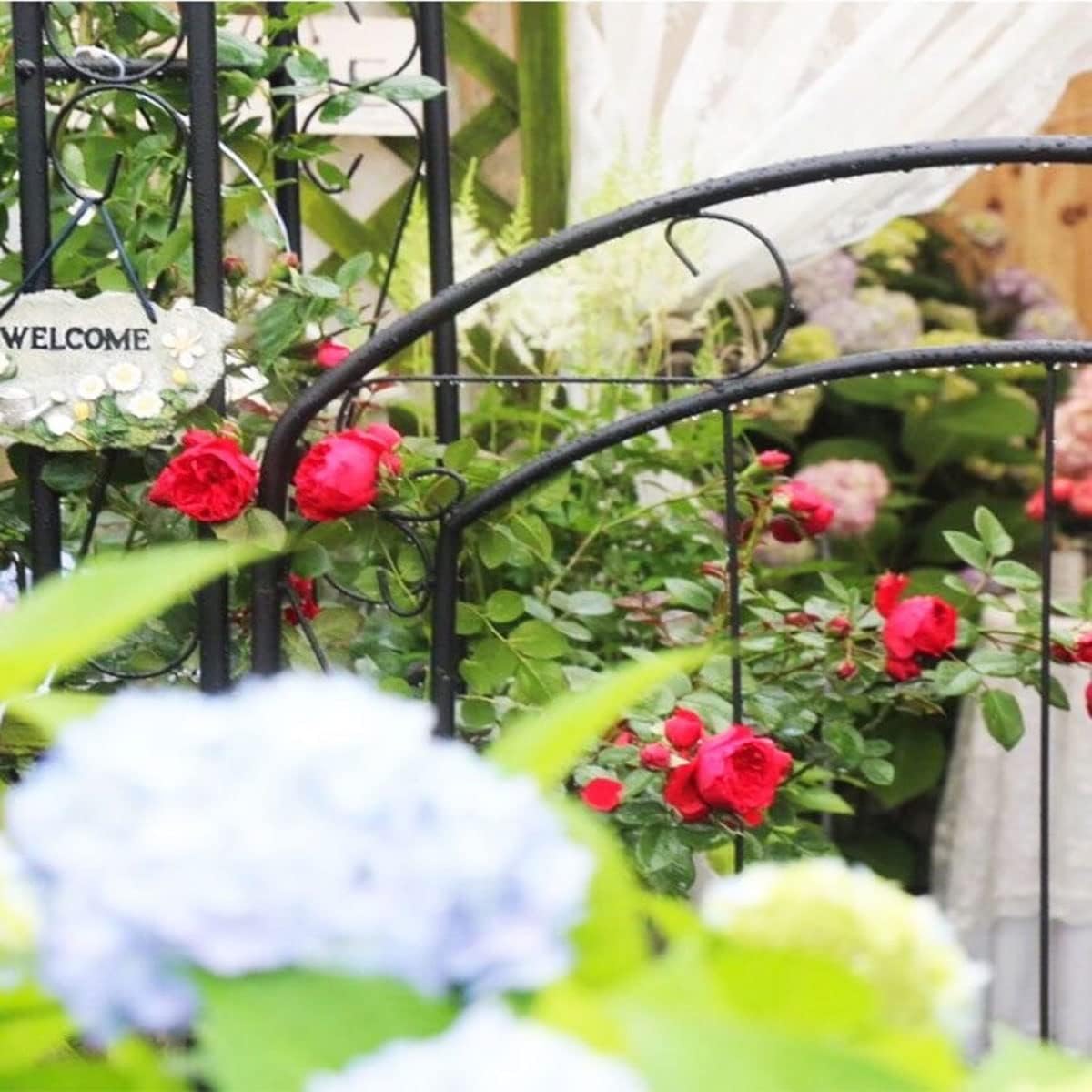 Steel Garden Arch with Gate, Garden Arbor for Various Climbing Plant, Metal Archway Trellis Pergola