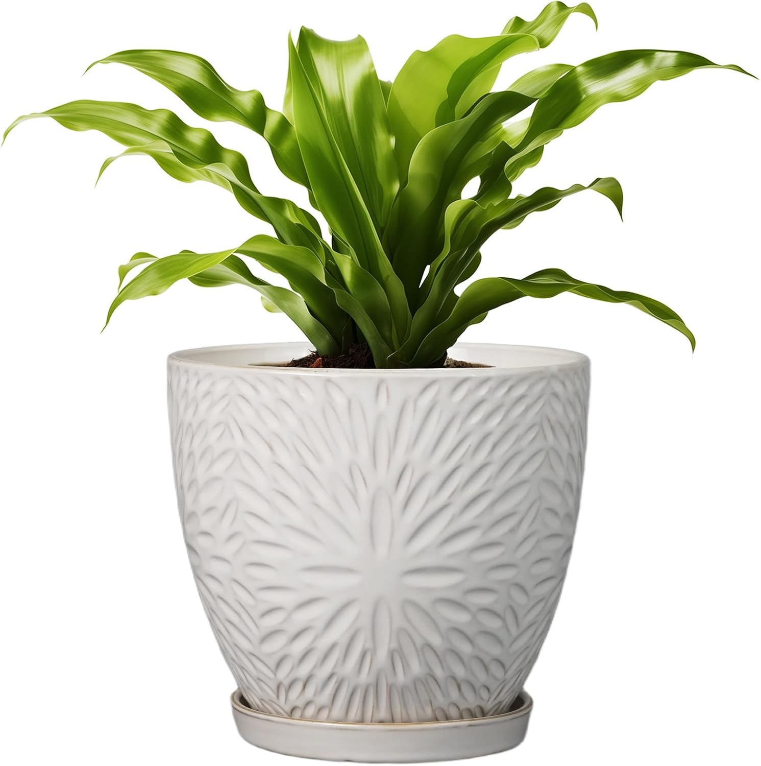G EPGardening 8 Inch Ceramic Plant Pot with Drainage Hole and Saucer Round Planter Pot for Indoor