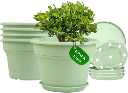 6 Inch Plastic-Flower Pot-for-Indoor Plants, 6 Pack Outdoor Plant Pots with Drainage Holes &
