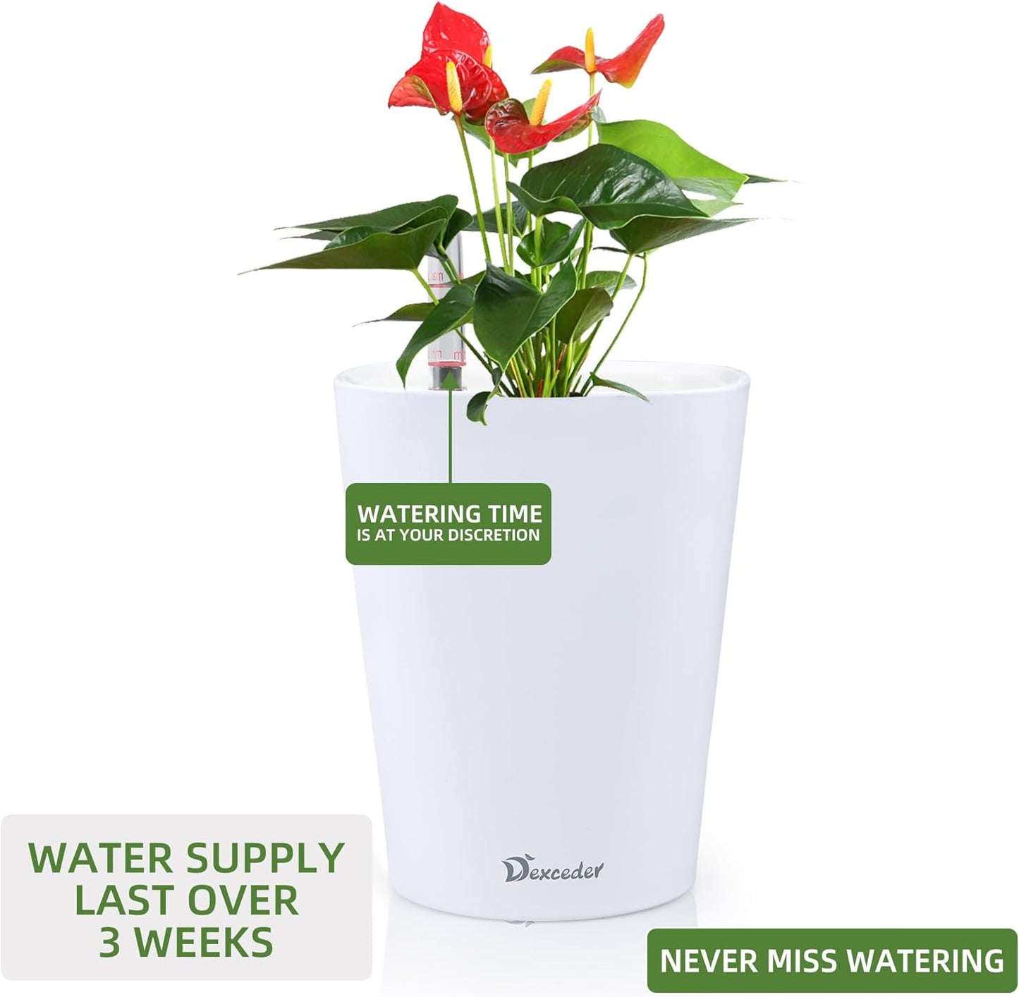 Dexceder 6x7 Self Watering Planter Indoor Outdoor, High Gloss Table Flower Plant Pot with Water
