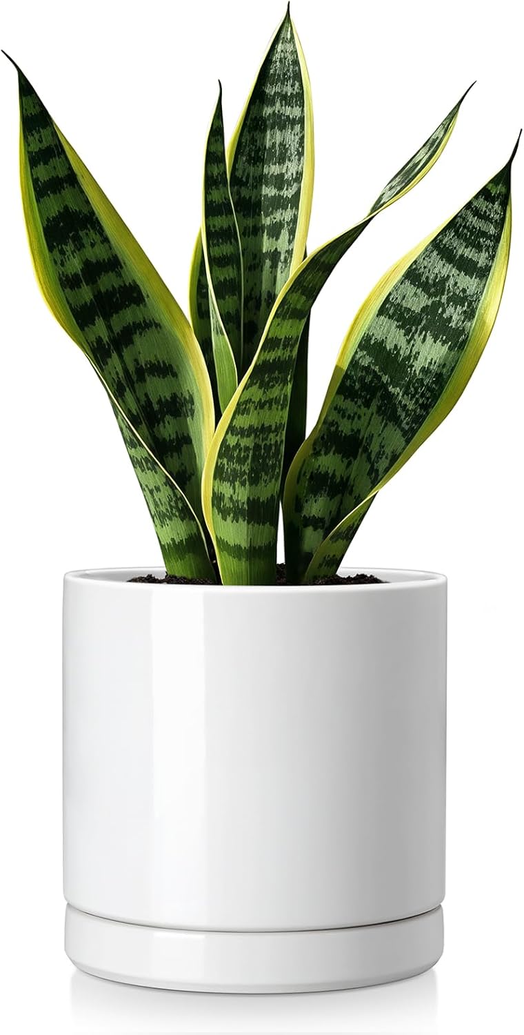 vancasso Ceramic Plant Pots, 6.25 Inch Ceramic Pot for Plants, Planters Pots for Indoor Plants with
