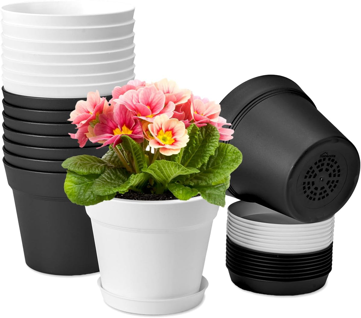 homenote Plant Pots,6 Inch Flower Pots for Plants Plastic Planters for Indoor with Multiple