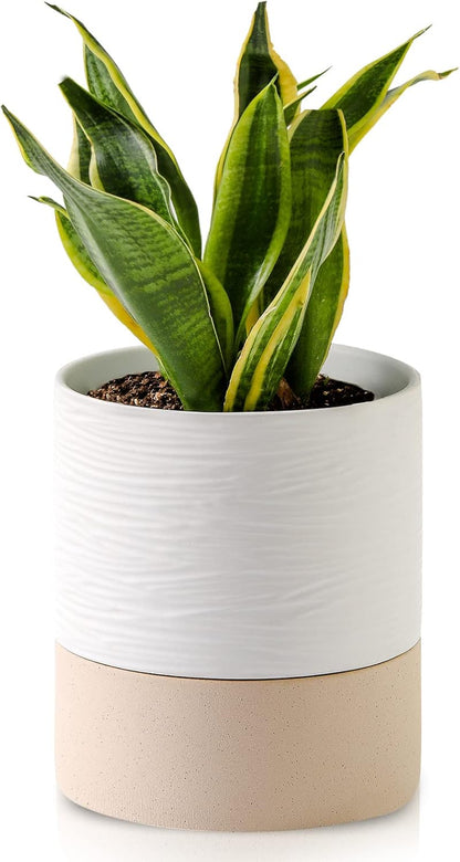 Nihow Self Watering Plant Pot: 6 Inch Ceramic Planter with Drainage Hole & Water Storage Plus for