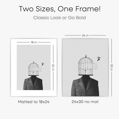 Homeforia Poster Silver Frame 24x30, High End Metal 24 x 30 Large Picture Frames with Mat 18 by 24