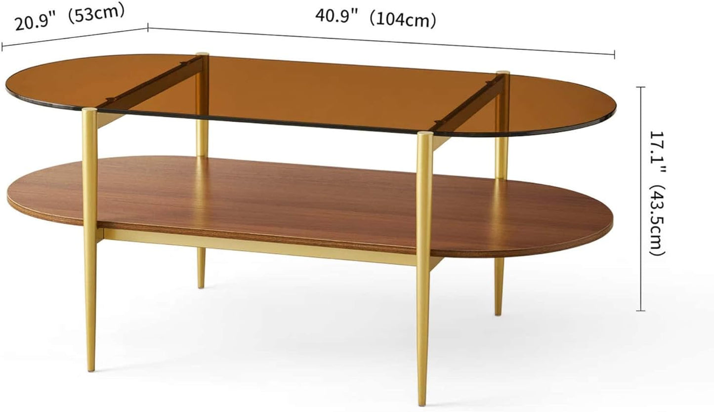 Oval Glass Coffee Table, Mid-Century Modern Design, L41 x W21 x H17 inch, for Living Room, 2-Tier
