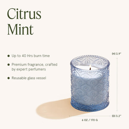 LA JOLIE MUSE Citrus Mint Candle – Yuzu, Mint & Tonka | 6 oz Natural Soy Wax | 40 Hours Clean Burn