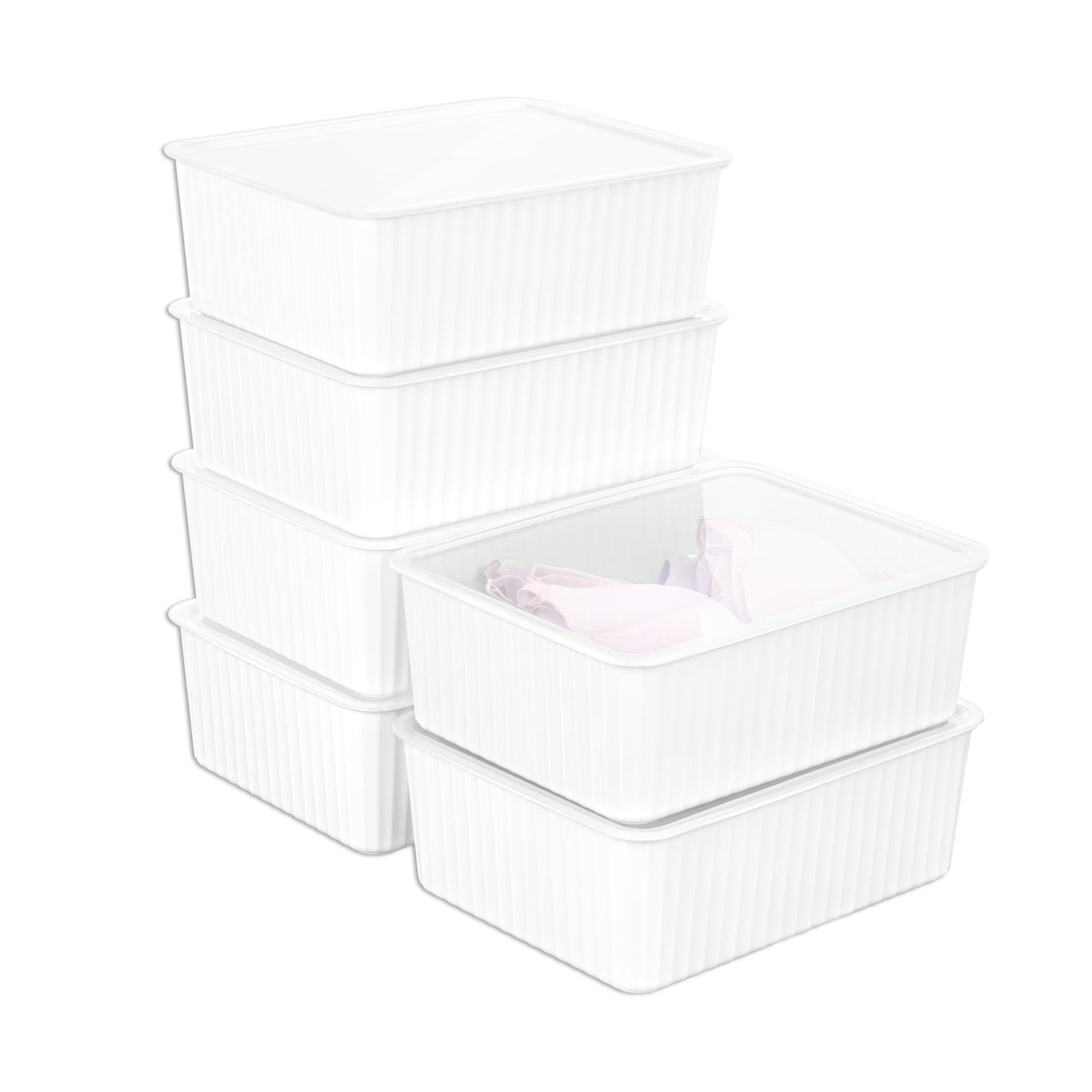 Cetomo Plastic Underwear Drawer Organizer with Lid, Lidded Storage Box for Bras, Plastic Basket for
