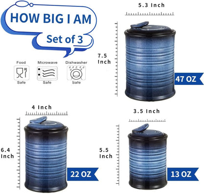 Nihow Food Storage Jar Sets: Ceramic Container with Air Tight Lid for