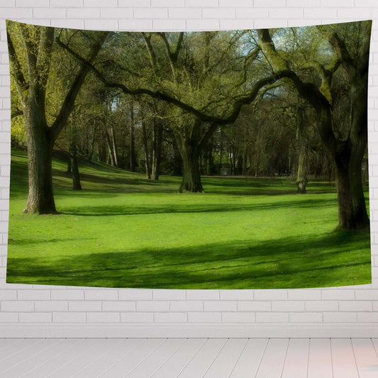 Landscape Tapestry For Bedroom Landscape Of Kings Park Green And Nature Scene Tapestries Wall