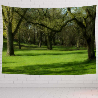 Landscape Tapestry For Bedroom Landscape Of Kings Park Green And Nature Scene Tapestries Wall