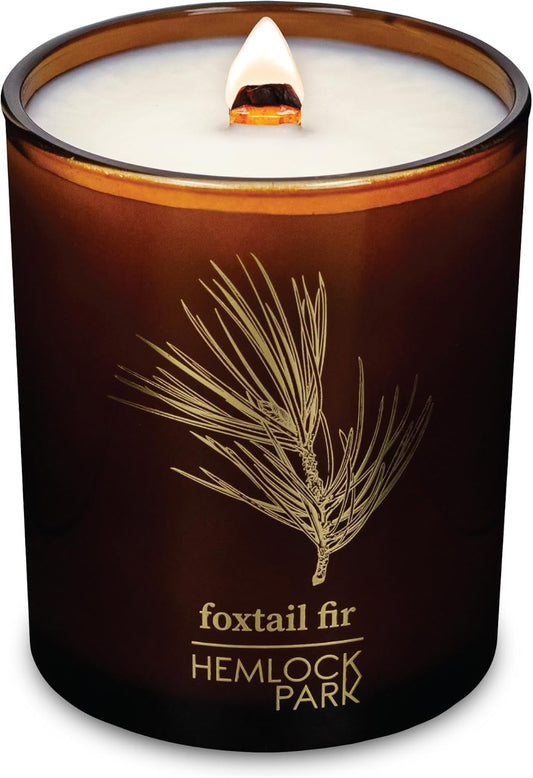 Hemlock Park Wood Wick Candle Handcrafted with Natural Coconut Wax and Essential Oils (Amber & Gold