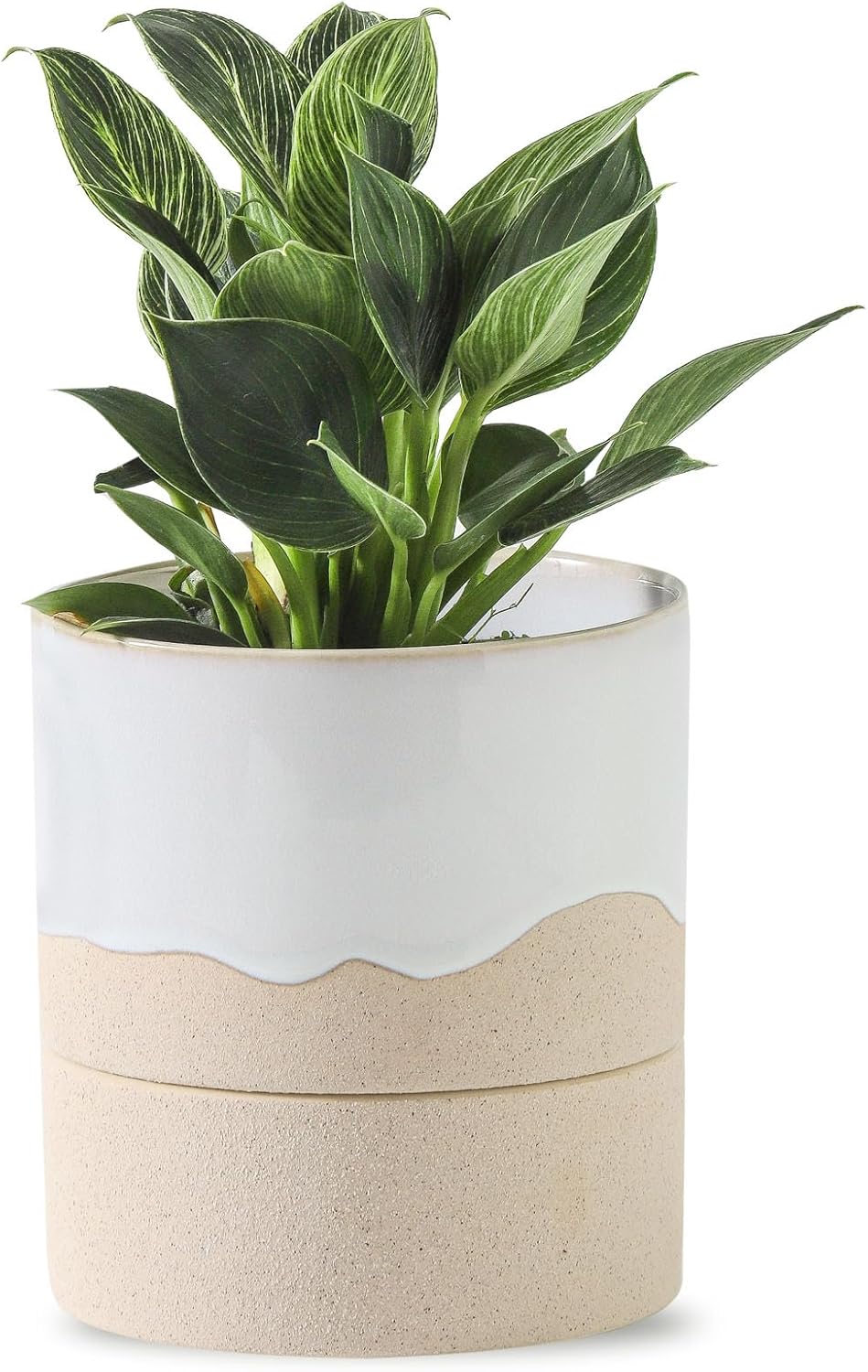 Nihow Self Watering Plant Pot: 4.5 Inch Ceramic Planter with Drainage Hole & Water Storage Plus for