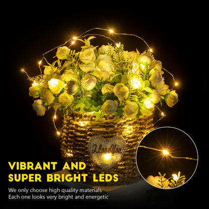 Brightown 24 Pack Fairy Lights Battery Operated String Lights - 7 ft 20 LED Mini String Lights