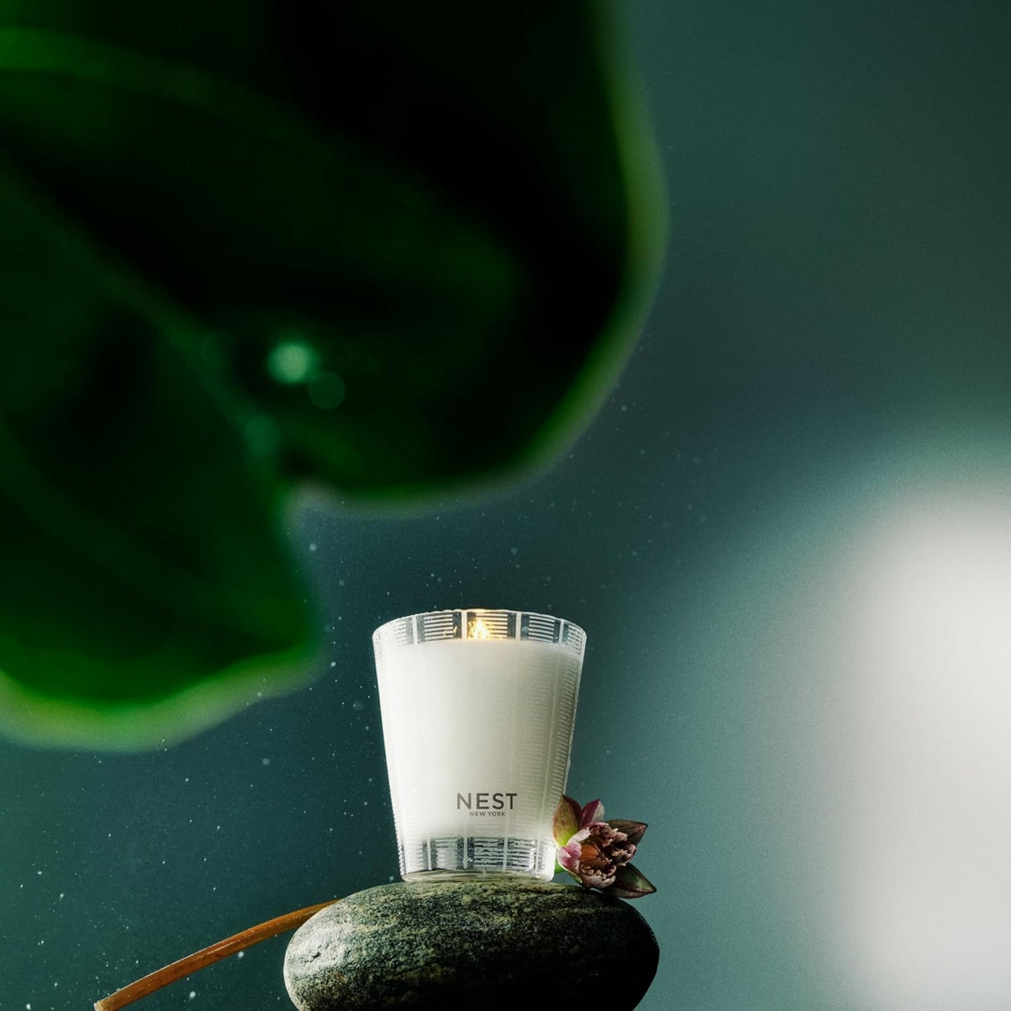 NEST New York Scented Classic Candle, Forest Rain - 8.1 oz - Up to 60-Hour Burn Time - Reusable