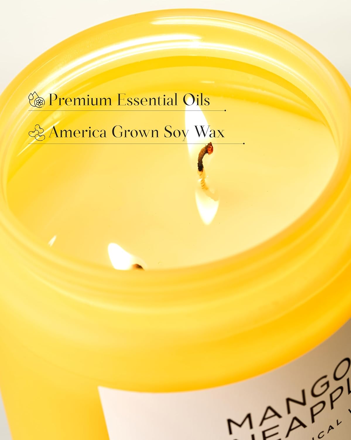 M&SENSE Mango Pineapple Scented Candle, 19.4oz Non Toxic Natural Soy Wax 110 Hours Long Lasting