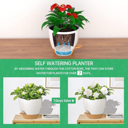 ZMTECH 10 Inch Hanging Planters for Indoor Outdoor Plants, 2 Pack Self Watering Hanging Plant Pots