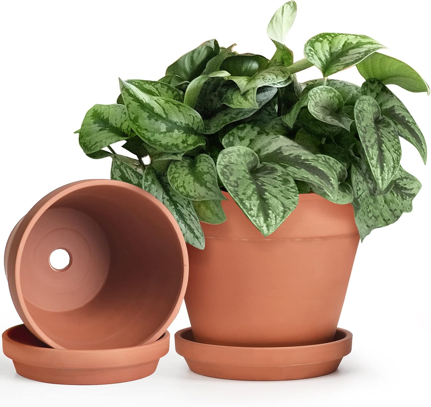 INGOFIN Terracotta Pots Set with Saucer - 2-Pack Ceramic Clay Planters with Drainage Hole, Garden