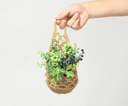 3PK Wall Planters for Indoor Plants, Macrame Plant Hanger | Wall Planter, Plant Hanger, Hanging