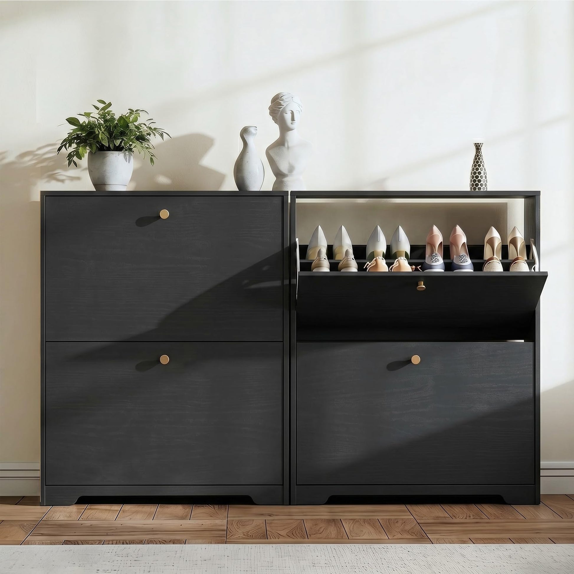 Nicetree Shoe Cabinet with 2 Flip Drawers, Entryway Shoes Organizer, Black